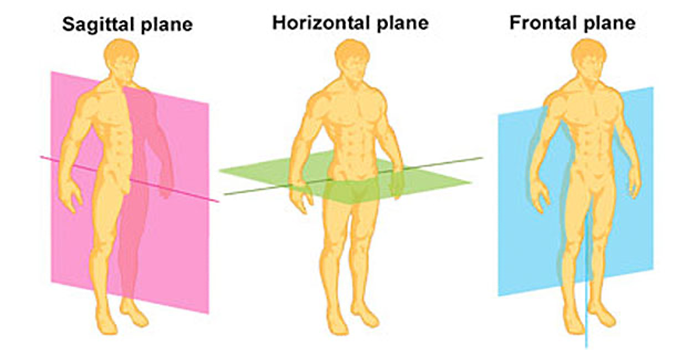 A diagram representing the three planes of movement; sagittal (backwards and forwards); horizontal; vertical